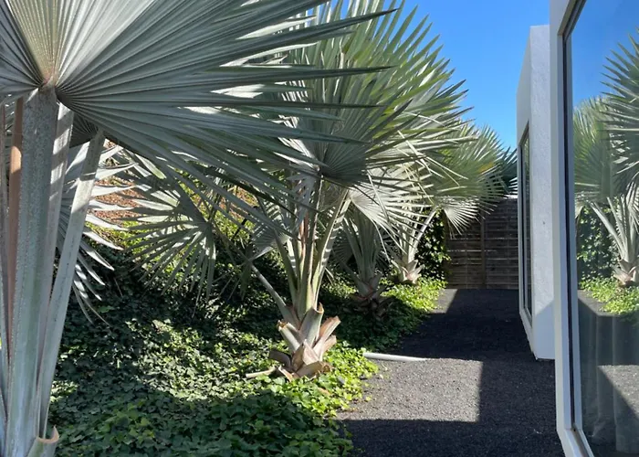 Duna Colorada ラハレス