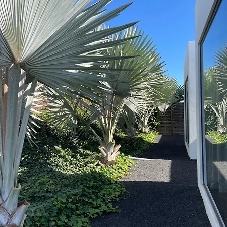 Duna Colorada 라하레스